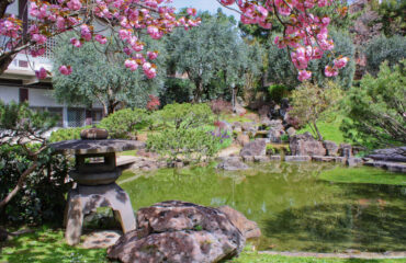 giardino giapponese